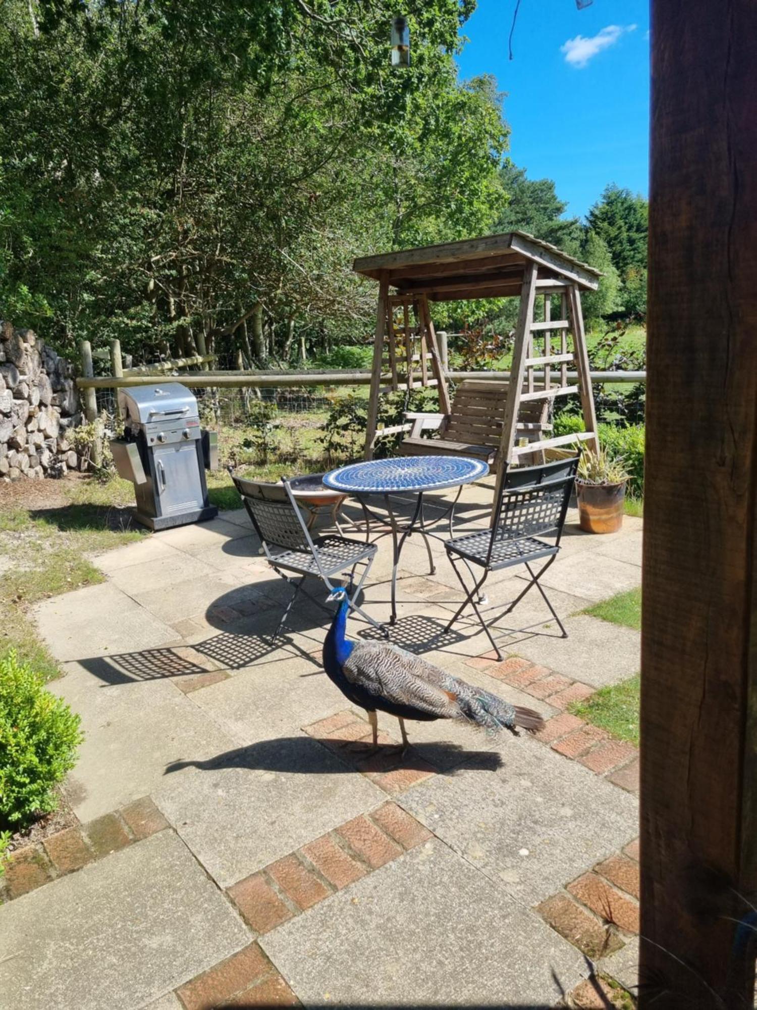 Sika Hut Villa Wareham Exteriör bild