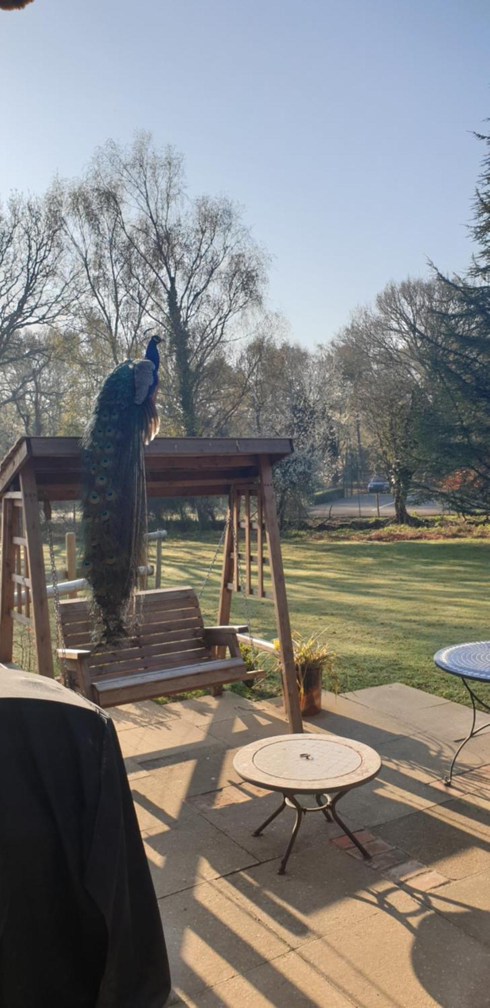Sika Hut Villa Wareham Exteriör bild
