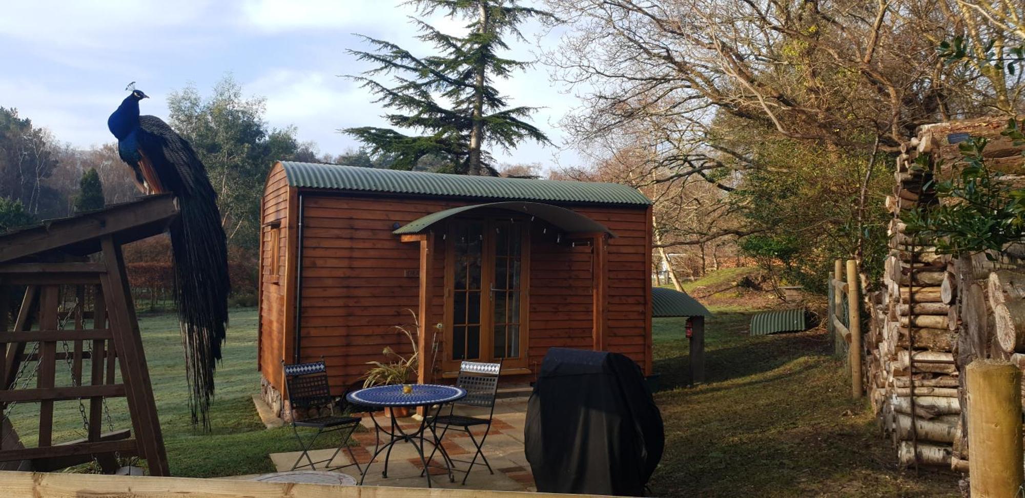 Sika Hut Villa Wareham Exteriör bild